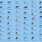 Blue Race Car (325 Teile) (neue Version 2025)