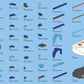 Blue Race Car (325 Teile) (neue Version 2025)